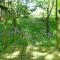 The Red Barn at Venn Farm - Gorgeous Upside-Down Barn on Smallholding Near Cornish Surf Beaches - 布德