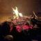 Wadi rum secrets camp