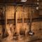 Wooden Tatra House