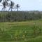 Agus Hidden Homestay - Banjar Sweet Village-Ijen