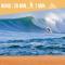 * Hossegor * Plage 100m * Vue sur les pins *Surf - 索尔特奥瑟戈尔