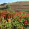 Holiday Home Moldava