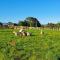 Country Comfort - only 10 minutes from Hamilton CBD - 汉密尔顿