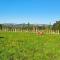 Country Comfort - only 10 minutes from Hamilton CBD - 汉密尔顿