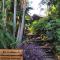 Koompartoo Retreat Bellingen