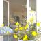Villa Riells Mar