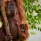 Lucky BambooBungalows-Resto and Orangutan Jungle Trekking Tours