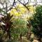 ApartHotel Villa Pacande & Rooms