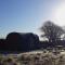 Hornbeam Eco Cabin - Sleeps 2 - Valley View