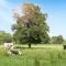 Gorgeous Home In Ijhorst With Wifi - IJhorst