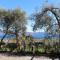 Relax in the Olive Grove
