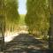 Le Parc château Gipieres - 蒙布兰莱班
