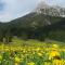 Bergfee Natur Appartements - Nesselwängle