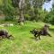 Froggy Farm Self Catering
