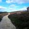 Kingsford renovated old cottage - Wexford