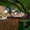 LA TAGORA Conect with the nature & relax