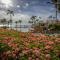 Palms 14 Luxury Beachfront Villa