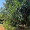 SERENE Stays - THANJAVUR