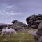 Hound Tor Barn Dartmoor - Manaton