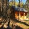 FoRest Inn
