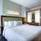 SpringHill Suites Harrisburg Hershey - Harrisburg