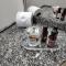 Iracema Flat 2102 Beira Mar