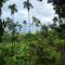 VanaJyotsna Forest Home