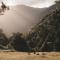 Alpacas Off Grid - House Truck - Takaka