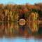 Minocqua Lakefront Cabin with Deck - مينوكوا