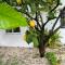 Avra House