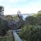 Sea Banksia