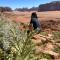 bedouin future camp