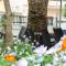 Hotel Alguer