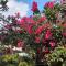 PROMO: Shabby Chic Countryhome with Huge Garden, Jacuzzi Pool, Mini Billiards, Video Karaoke
