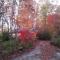 Two Rivers Cabins - The Dell