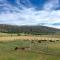 Old Entally Farm