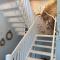 Villa Gudrun, luxury Beach House