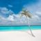 Brickwood Rasdhoo- Beach front - جزيرة راسدو Brickwood Rasdhoo- Beach front - جزيرة راسدو