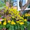 The Bliss Loei Living