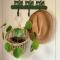 Vakantiewoning Guesthouse MOMO