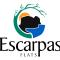 ESCARPAS FLATS