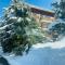 Lovely Apt Chalet Courchevel 1650 - 谷雪维尔