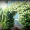 B&B Elisir