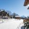 Chalet Vreneli - Wengen