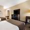 Best Western Houma Inn - Gray