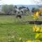 Campagne de Saint Clair