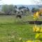 Campagne de Saint Clair