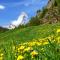 Apartment Breithorn by Interhome