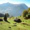 Apartment Chalet Blaugletscher by Interhome - Grindelwald