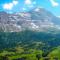Apartment Chalet Eiger-1 by Interhome - Grindelwald